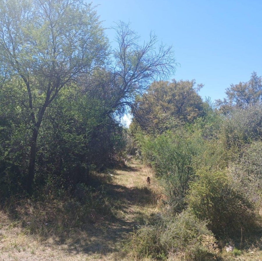 Commercial Property for Sale in Barkly West Rural Northern Cape